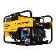 Winco 20HP WL12000HE 12,000 Watt Industrial Big Dog Portable Generator with 4-Wheel Dolly Kit