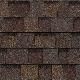 TruDefinition&reg; Duration&reg; Shingles