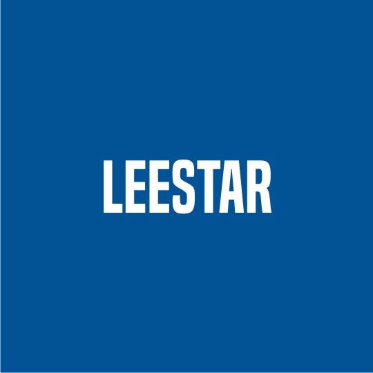 Leestar 4" Paint Brush