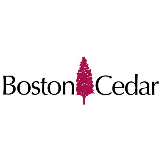 Boston Cedar 1" x 4" Western Red Cedar STK T&G Siding - Sold per Lin. Ft.