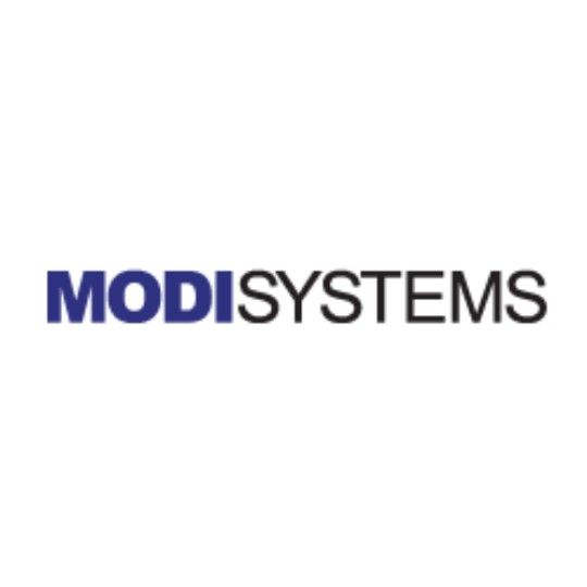 Modi Systems Detail Torch