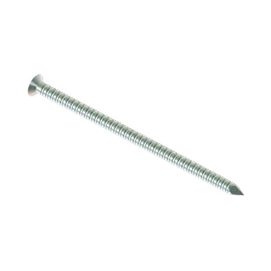 Clendenin Bros 2" (6d) Stainless Steel Ring Shank Wood siding Nails - 1 Lb.