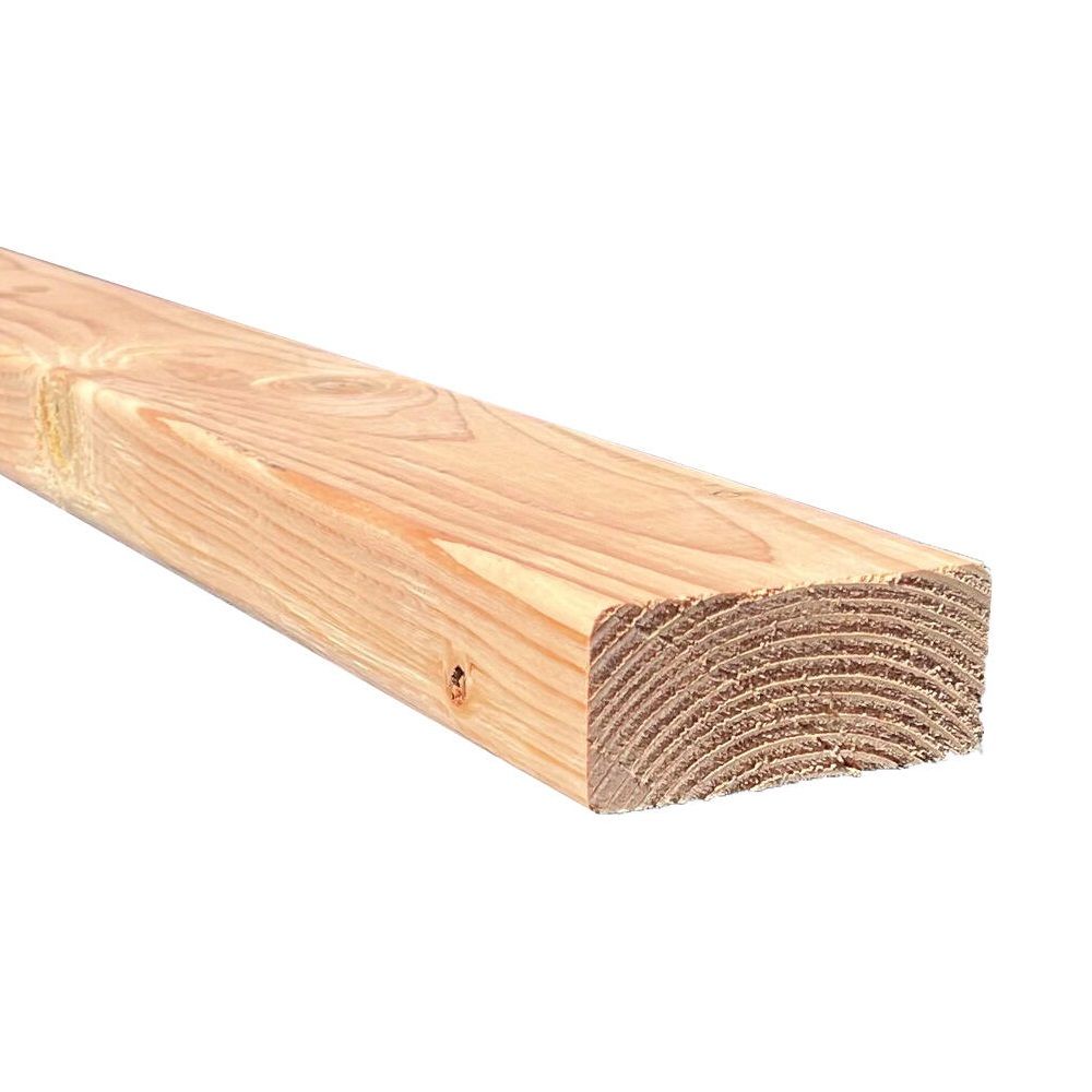 Bear Forest Products 2" x 4" x 10' Douglas Fir Board