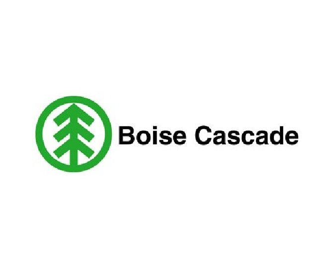 Boise Cascade 1/8" x 4" x 8' Green Grade Thermo-Ply Sheathing - Village Building