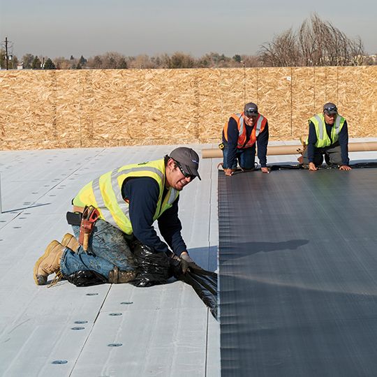 Carlisle SynTec 115 mil 10' x 100' FleeceBACK&reg; RL&trade; EPDM RapidLock Membranes with 3" Factory-Applied Tape